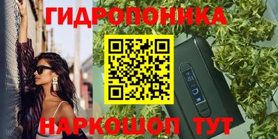 прущие грибы Камышлов