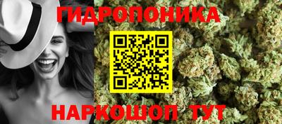 прущие грибы Камышлов