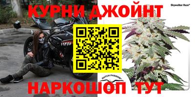 прущие грибы Камышлов