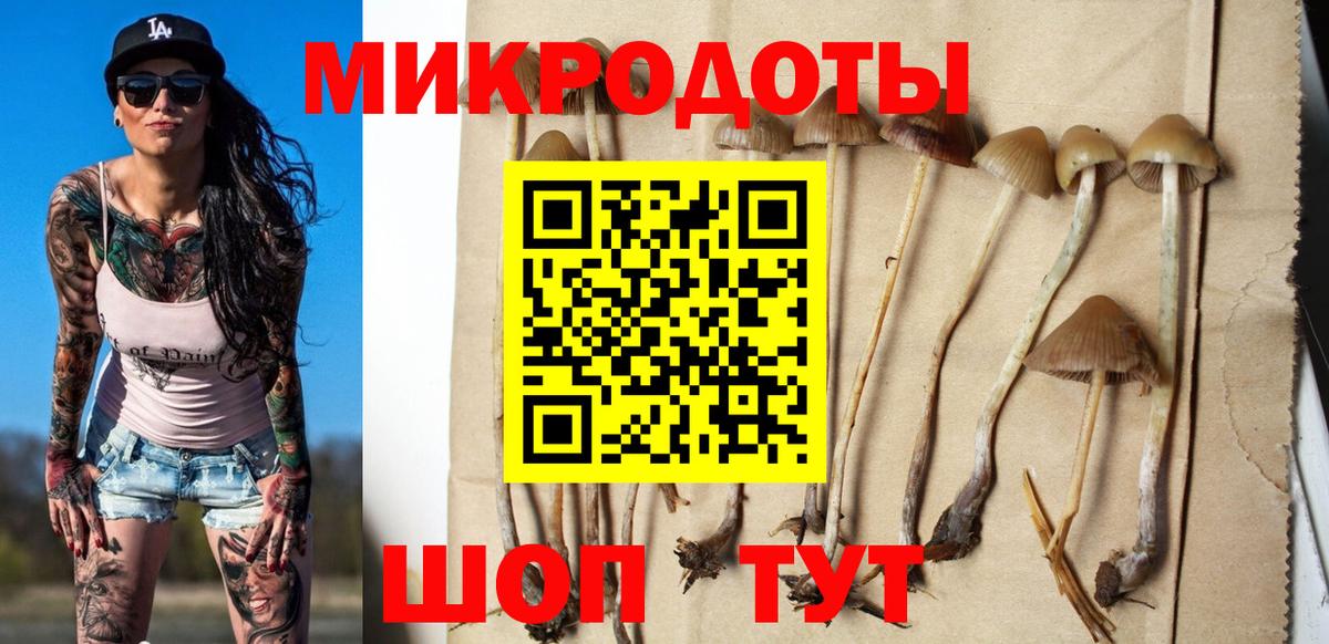 Галлюциногенные грибы MAGIC MUSHROOMS Лениногорск